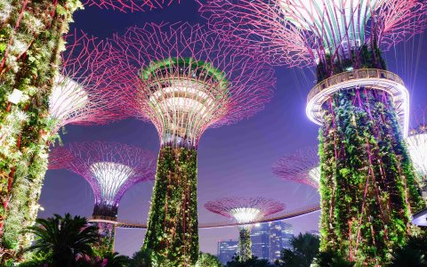 Singapur - wycieczka z DiscoverAsia (9) Gardens by the Bay.jpg